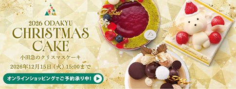 2026 ODAKYU CHRISTMAS CAKE