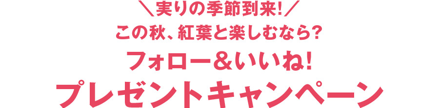 \実りの季節到来!/この秋、紅葉と楽しむなら? フォロー&いいね! プレゼントキャンペーン