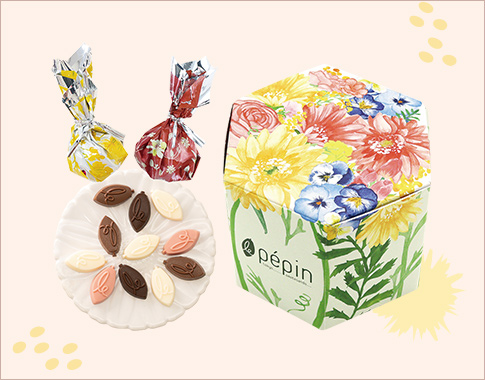 ［ル ペパン］ペパン ドゥ カカオ6個入