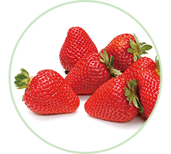 フルーツイメージ