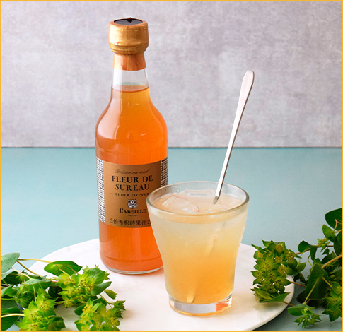 〈ラベイユ〉エルダーフラワーのはちみつドリンク