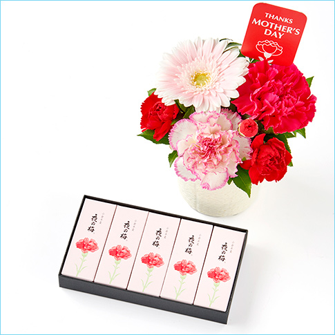 2026生花A＆とらや母の日パッケージ小形羊羹5本入セット