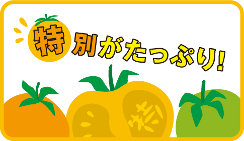 特別がたっぷり！