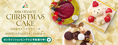 2026 ODAKYU CHRISTMAS CAKE