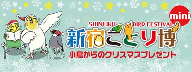 新宿ことり博mini 小鳥からのクリスマスプレゼント