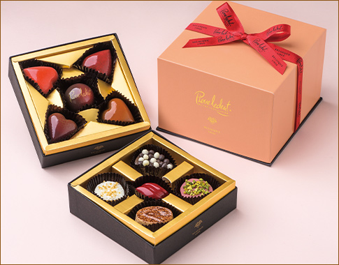 〈ピエール・ルドン〉シャトー・エトワール