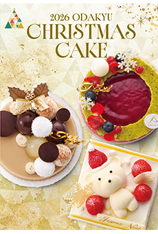 2026 ODAKYU CHRISTMAS CAKE