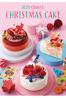 2025 ODAKYU CHRISTMAS CAKE