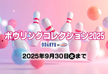 ABS人気プロボウラー限定グッズ