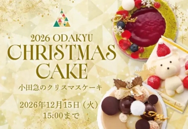 2026年クリスマスケーキ特集（予約・通販・店舗受け取り）